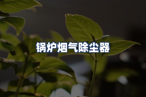 锅炉烟气除尘器